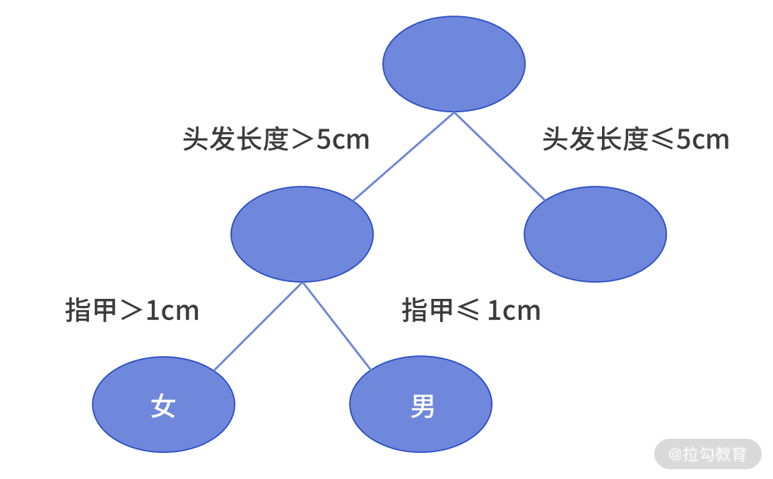 决策树示例
