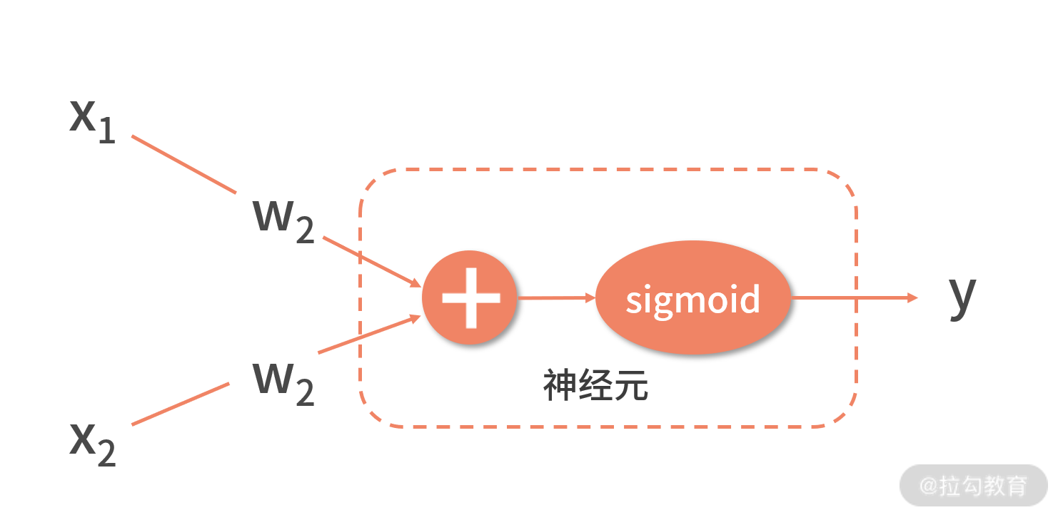 神经元结构