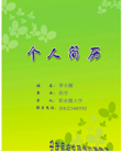 花哨的简历外形