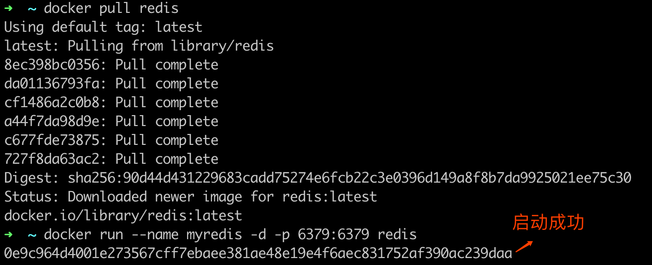 Docker 容器启动
