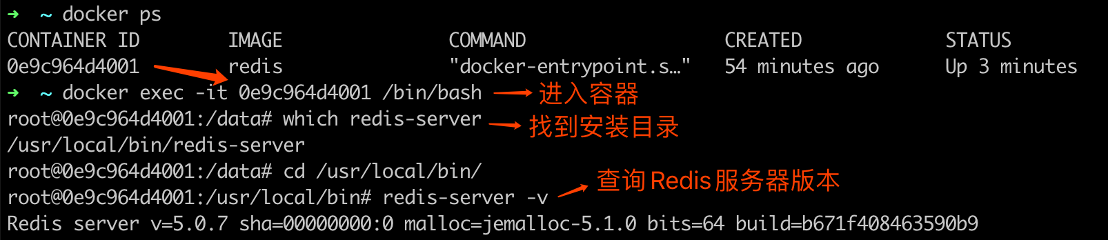 Docker Redis 版本查询